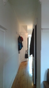 The hallway between entry, bedroom and living space.